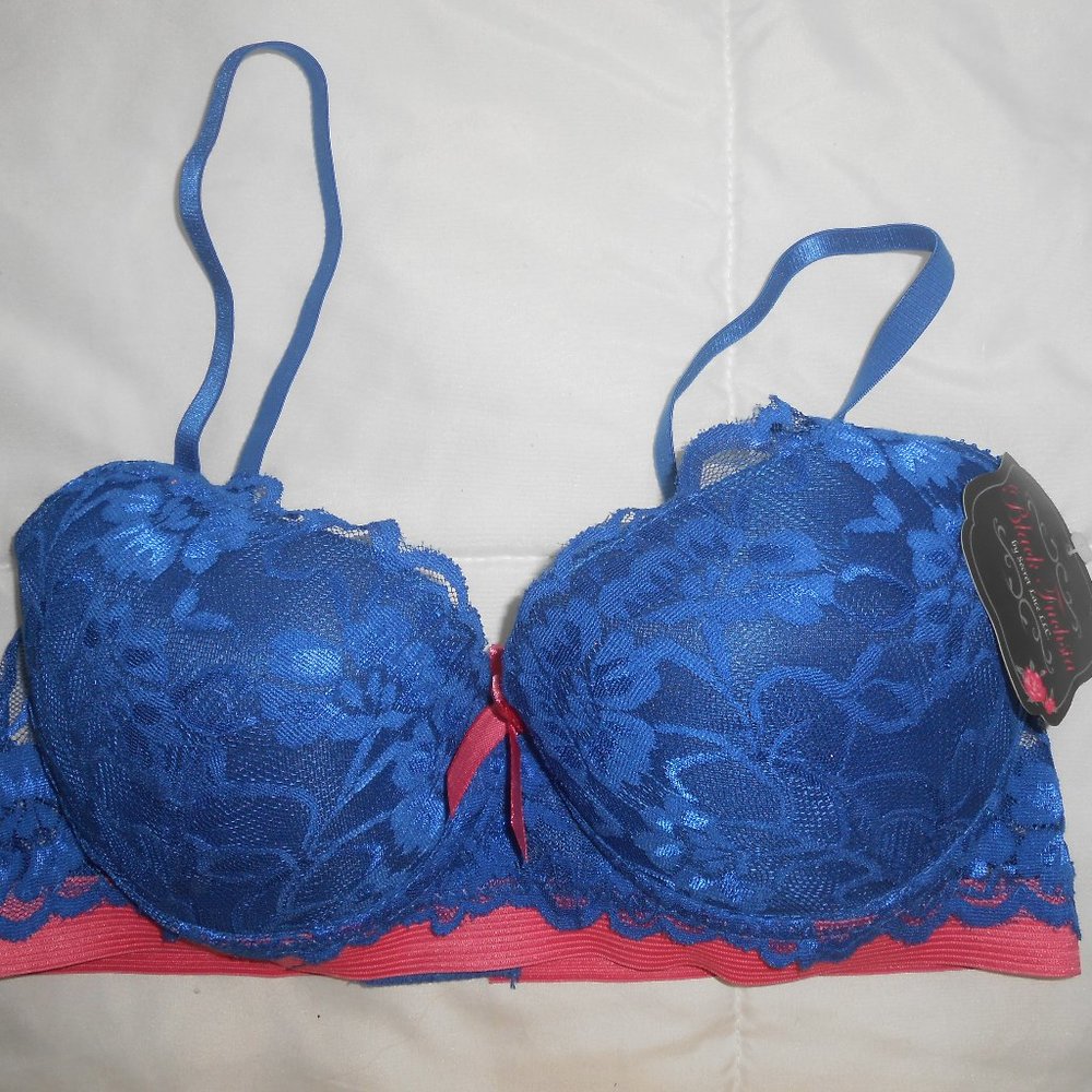 NWT Secret Lace Blue Pink Push-up Bra
